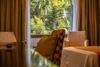 Hotel Rochester Calafate