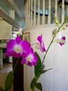 Bed & Breakfast La Casita Mercedes