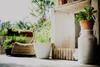 Bed & Breakfast C�t�-vignes Chambre D'h�tes