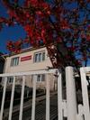 Hostal Vincze Villa Vend�gh�z