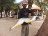 Hotel Jungle Beach Resort
