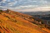 Apartamento Il Vecchio Cortile Barbaresco