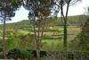B&B Villa Il Poggiolino