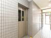Hostal Sakura Guest House
