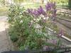 Apartamento Z�nka-balaton