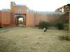 Hotel Tordi Palace - Jaipur