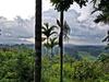 Hotel Bamboo Creek Resort
