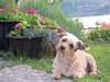 Bed & Breakfast Costa Paradiso