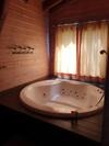 Lodge Pine Tree Cabin