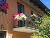B&B La Falconera