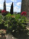 Agroturismo Villa Schiatti