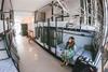 Hive Hostel