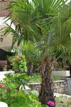 Hostal Villa Fania