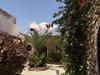 Bed & Breakfast Sidi Kaouki Al Vent