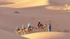 Camp Camelhouse Merzouga