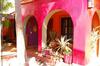 Hostal Leo's Baja Oasis