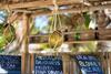 Hotel Alaya Tulum By Ahau