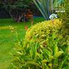 Hotel Huayac�n