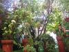 Bed & Breakfast The Secret Garden Home Cusco