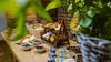 Albergue Five Stars Bed&breakfast