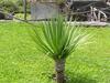 Agroturismo Villa Montemar