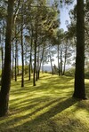 Hotel Del Lago Golf & Art Resort