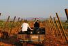 Weingut & Landhotel Can Davero
