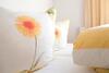 Apartamento Ferienwohnung Anna Falkner