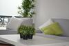 Apartamento Bayer's Boardinghouse Und Hotel