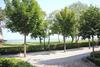Aparthotel Ostsee By Rujana