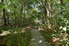 Sea La Villa Port Douglas
