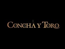 Actividades en Via Concha y Toro