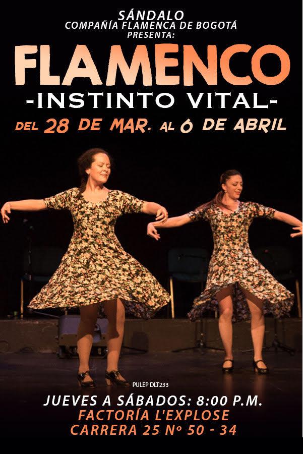 Flamenco instinto vital