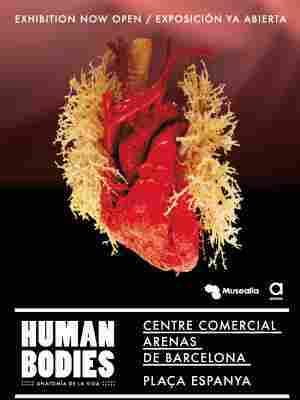 Human Bodies - Exposición en Barcelona