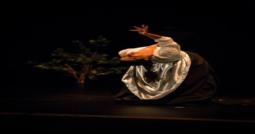 Espectáculo Flamenco - La esquina de la Pita